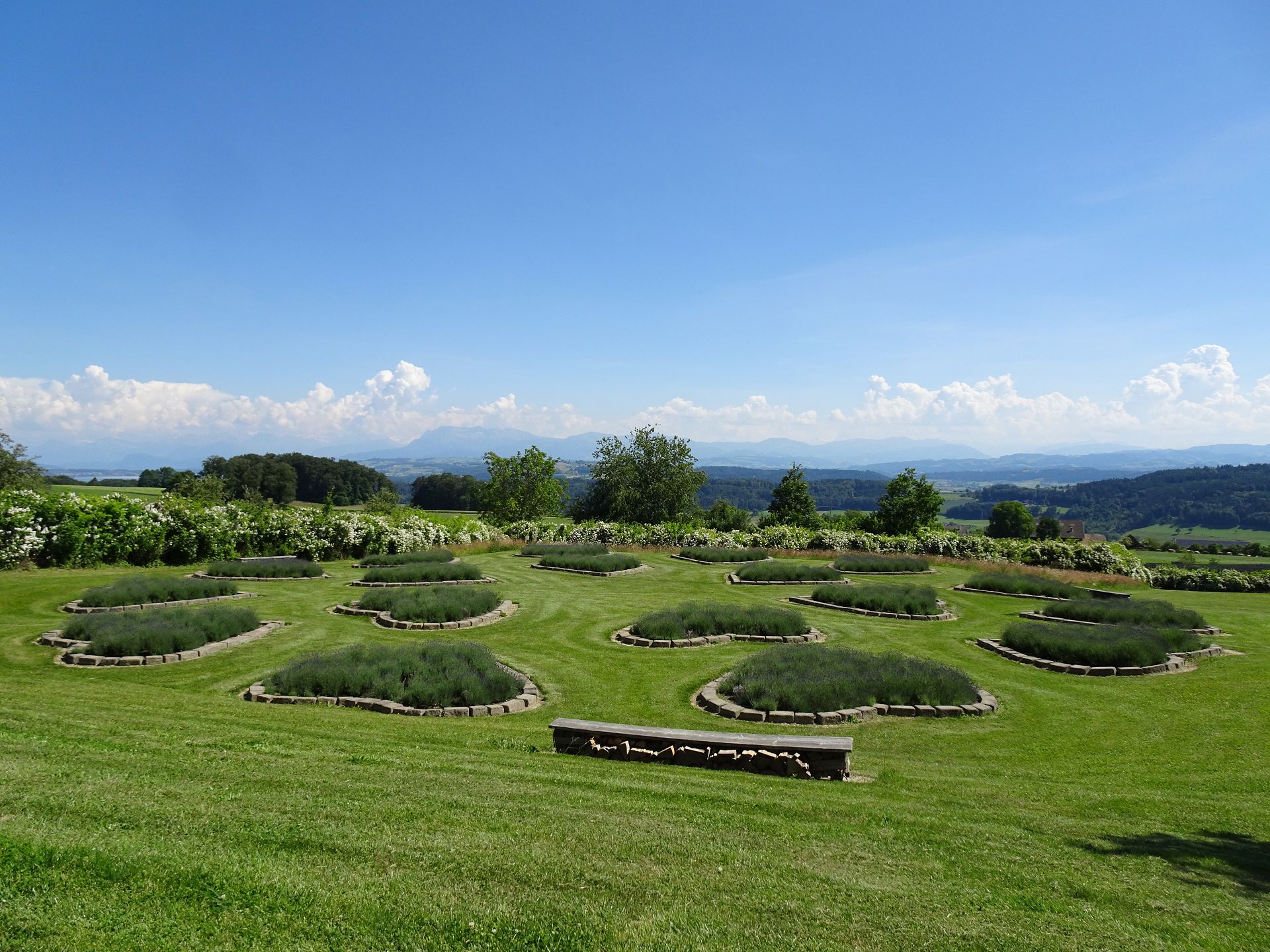 Altishofen